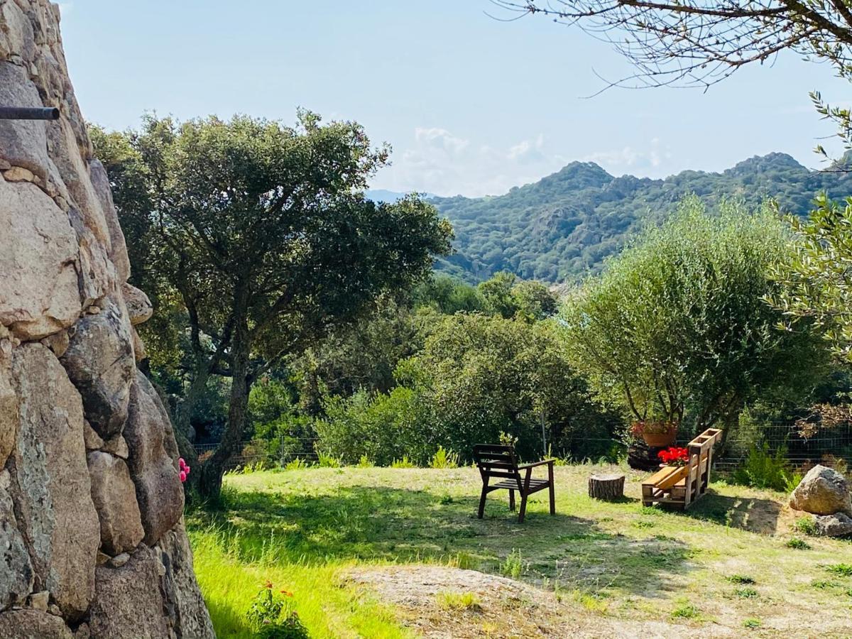 Il Nuraghe Del Lago Coghinas Oschiri 外观 照片
