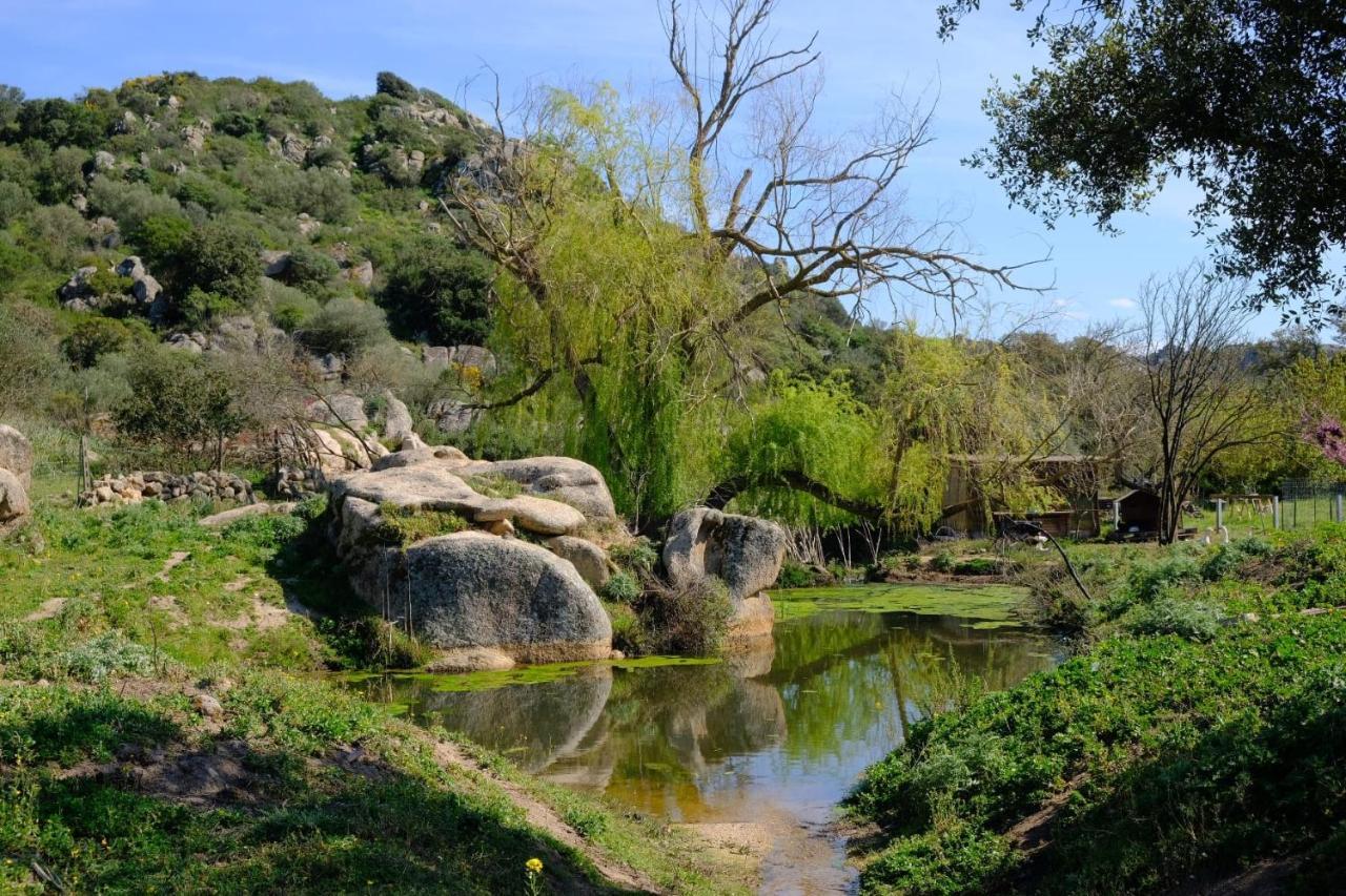 OschiriIl Nuraghe Del Lago Coghinas住宿加早餐旅馆 外观 照片