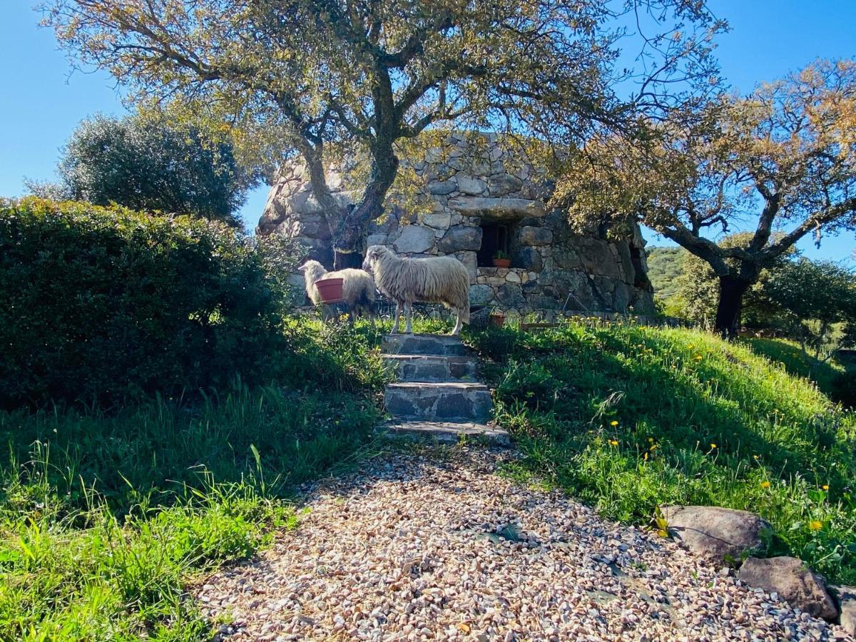 OschiriIl Nuraghe Del Lago Coghinas住宿加早餐旅馆 外观 照片