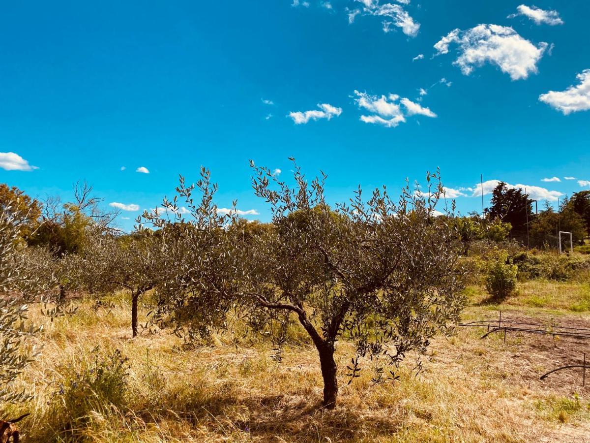 Il Nuraghe Del Lago Coghinas Oschiri 外观 照片