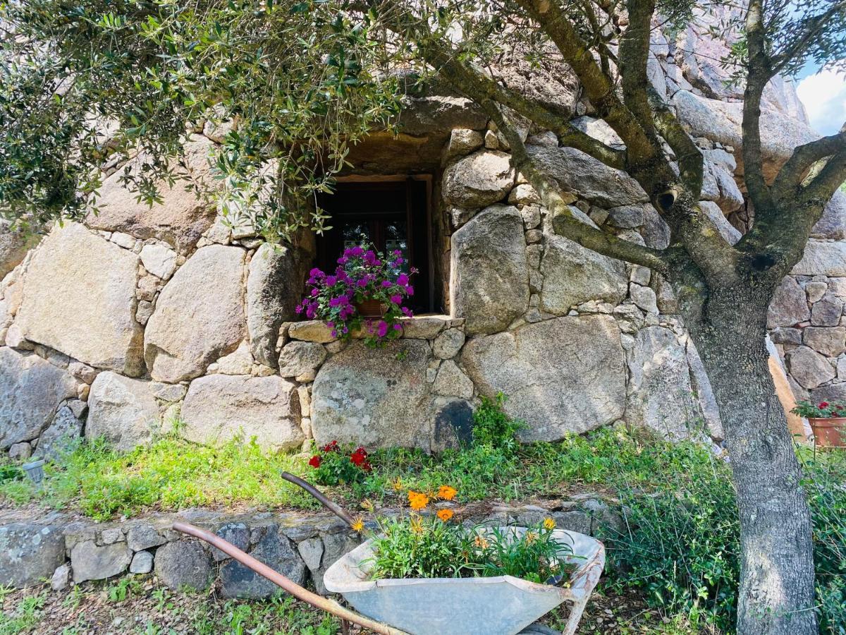 Il Nuraghe Del Lago Coghinas Oschiri 外观 照片