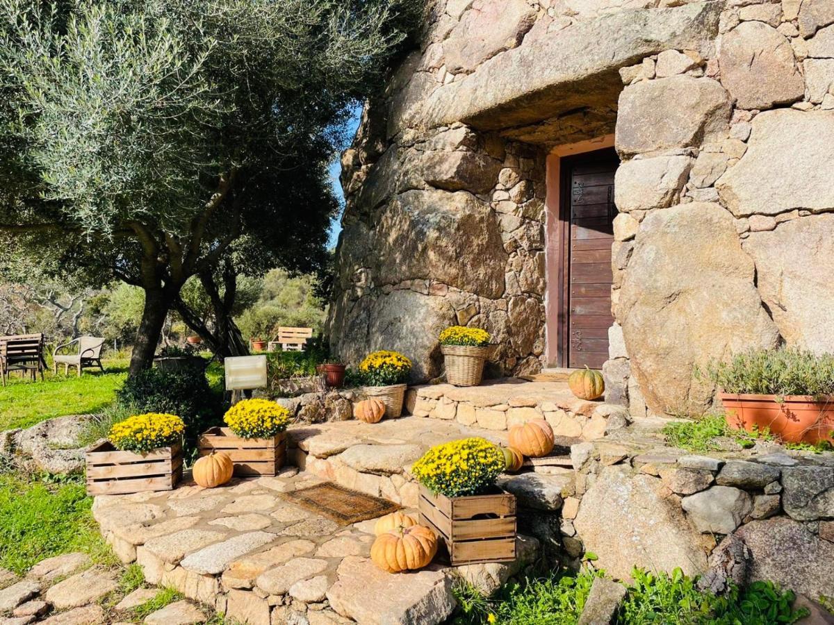 Il Nuraghe Del Lago Coghinas Oschiri 外观 照片