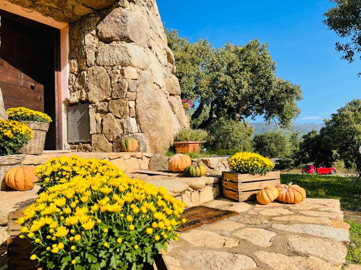 Il Nuraghe Del Lago Coghinas Oschiri 外观 照片