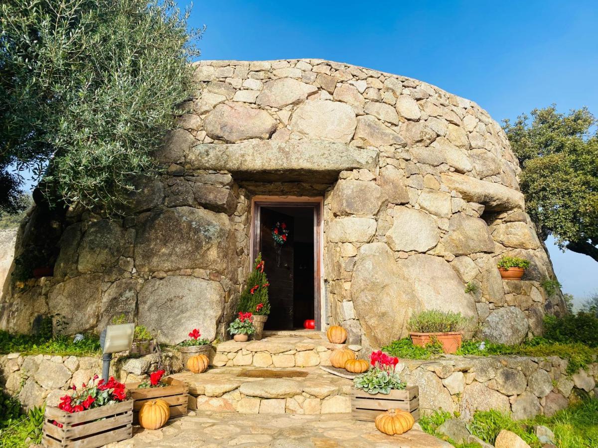 Il Nuraghe Del Lago Coghinas Oschiri 外观 照片