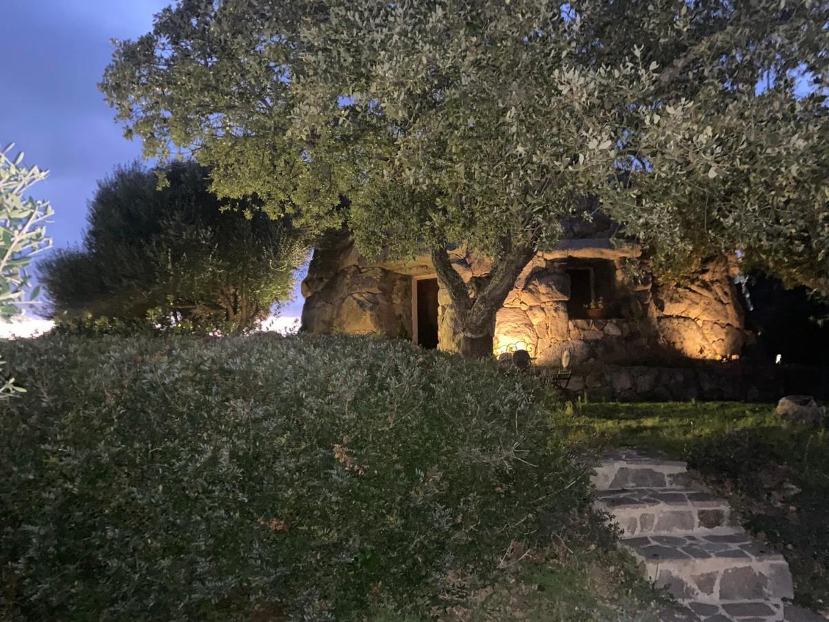 Il Nuraghe Del Lago Coghinas Oschiri 外观 照片