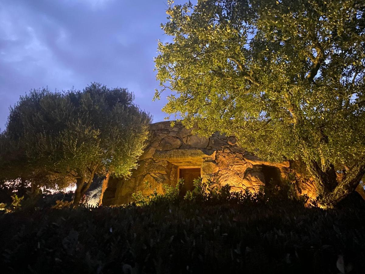 OschiriIl Nuraghe Del Lago Coghinas住宿加早餐旅馆 外观 照片