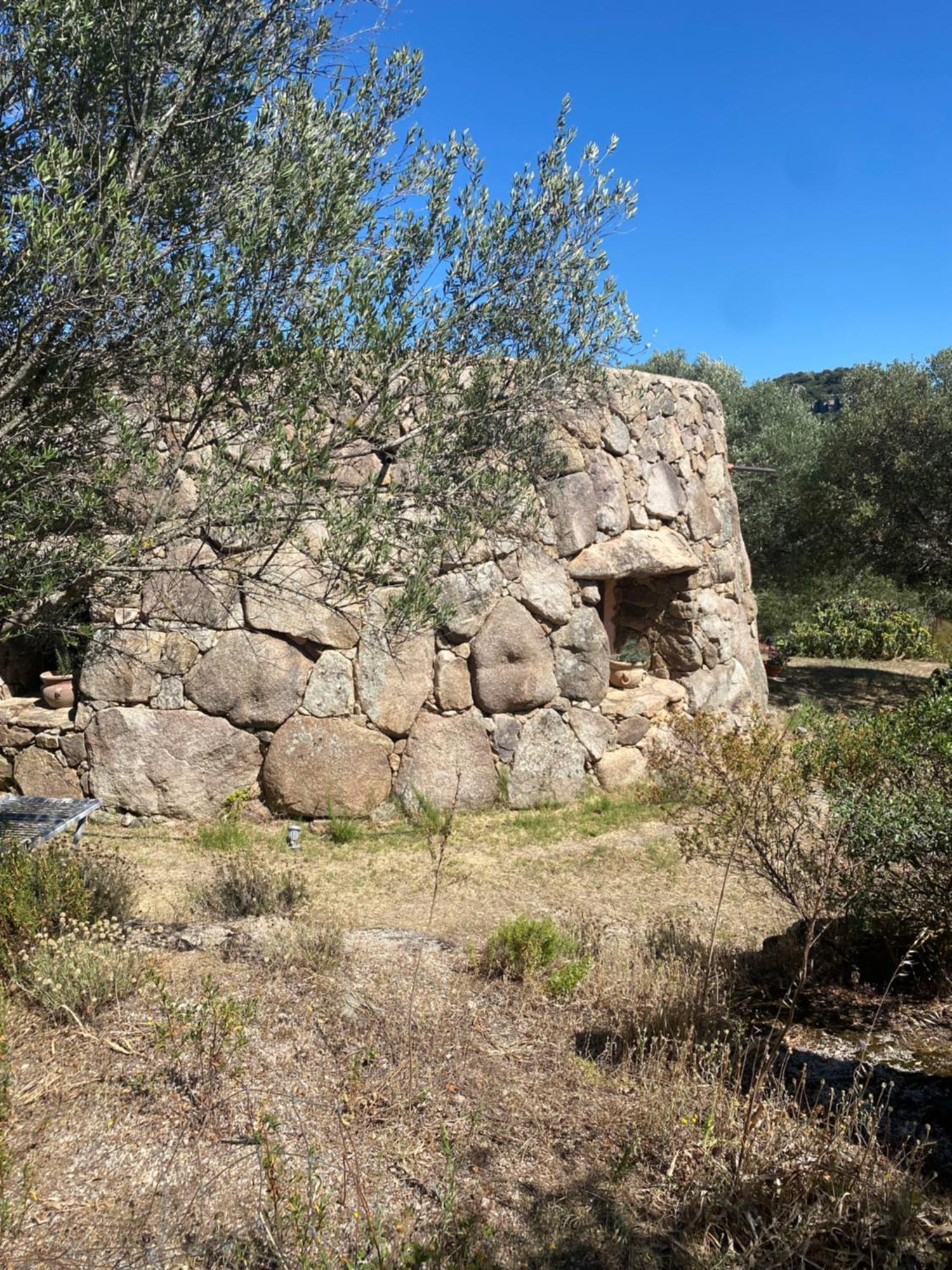 OschiriIl Nuraghe Del Lago Coghinas住宿加早餐旅馆 外观 照片