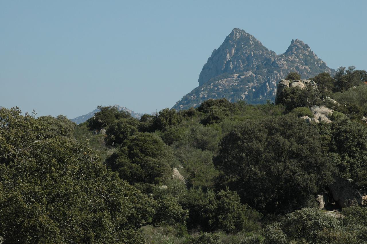 OschiriIl Nuraghe Del Lago Coghinas住宿加早餐旅馆 外观 照片