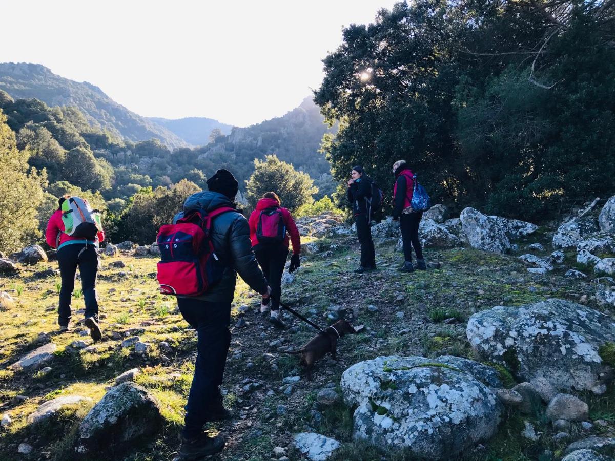 Il Nuraghe Del Lago Coghinas Oschiri 外观 照片